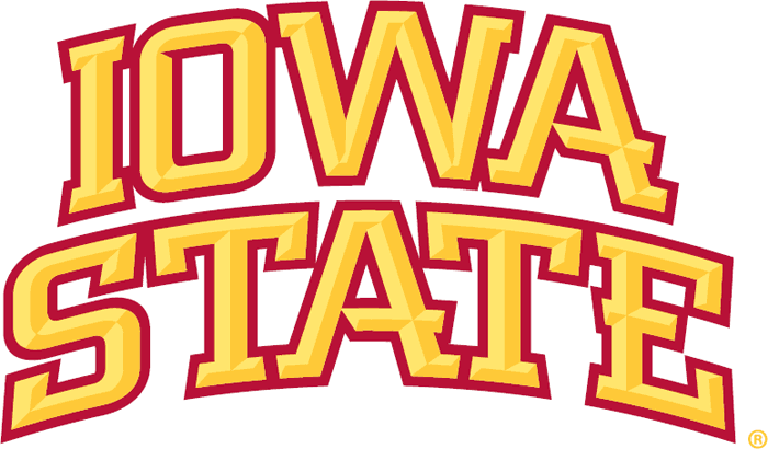 Iowa State Cyclones 2007-Pres Wordmark Logo t shirts iron on transfers